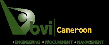 Logo BVI Cameroon —