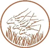 Logo BEAC — Banque des États de l'Afrique Centrale