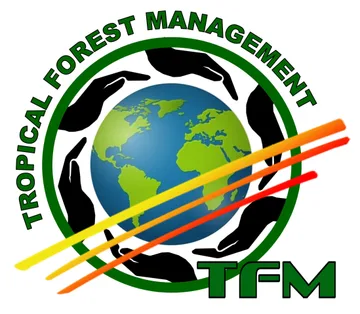 Logo TFM — Bureau d'études
